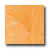 Mohawk Mohawk Vicksburg Maple Natural Hardwood Flooring