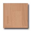 Quick-Step Quick-step 700 Series Steps (7mm) Enhanced Beech Laminate Floori