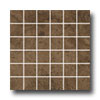 Ergon Tile Ergon Tile Green Tech Mosaic Rectified Brown Tile  &  Stone