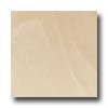 Daltile Daltile Era 24 X 24 Structured Mesos Tile  &  Stone