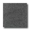 Daltile Daltile Granite 12 X 12 Absolut Black Chinese Flamed Tile  &  Ston