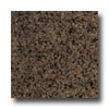 Daltile Daltile Granite 12 X 12 Tropical Brown Tile  &  Stone
