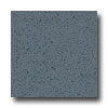 Armstrong Armstrong Excelon Stonetex Premium Blue Spruce Vinyl Flooring