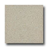 Armstrong Armstrong Connection Corlon Natural Stone Vinyl Flooring