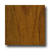 Tarkett Tarkett New Frontiers Brazilian Chestnut Amaretto Laminate Floor