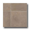 Armstrong Armstrong Afton - Self-stick Santana Fieldstone Taupe Vinyl Floo