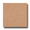 Armstrong Armstrong Medintech Homogeneous Fired Clay Vinyl Flooring