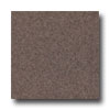 Armstrong Armstrong Connection Corlon Bittersweet Vinyl Flooring