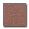 Armstrong Armstrong Connection Corlon Red Glow Vinyl Flooring