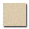 Armstrong Armstrong Medintech Tandem Inlaid Brushed Sand Vinyl Flooring