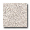 Armstrong Armstrong Excelon Imperial Texture Taupe Vinyl Flooring