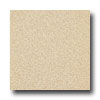 Armstrong Armstrong Medintech Homogeneous Brushed Sand Vinyl Flooring