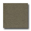 Armstrong Armstrong Excelon Stonetex Premium Leaf Green Vinyl Flooring