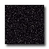 Armstrong Armstrong Excelon Stonetex Premium Coal Black Vinyl Flooring