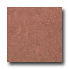 Armstrong Armstrong Marmorette With Naturcote Baked Clay Vinyl Flooring