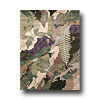 Hellenic Rug Imports, Inc. Hellenic Rug Imports, Inc. Essential Nature 6 X 8 Forest Area Ru