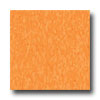 Armstrong Armstrong Excelon Standard Rave Screamin Pumpkin Vinyl Flooring