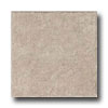 Armstrong Armstrong Classic Collection Grouted Ceramic Ii Pumice Vinyl Flo