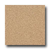 Armstrong Armstrong Medintech Homogeneous Sandalwood Vinyl Flooring