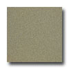 Armstrong Armstrong Medintech Tandem Inlaid Tea Garden Green Vinyl Floorin