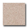 Armstrong Armstrong Excelon Imperial Texture Hazelnut Vinyl Flooring