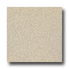 Armstrong Armstrong Medintech Tandem Inlaid Shoreline Vinyl Flooring