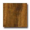 Tarkett Tarkett Cross Country Tigerwood Exotic Laminate Flooring