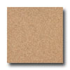 Armstrong Armstrong Connection Corlon Amber Vinyl Flooring