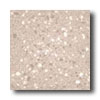 Crossville Crossville Cross-colors Lp 12 X 12 Polished Cappuccino Tile  &  St