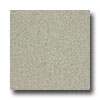 Armstrong Armstrong Medintech Tandem Inlaid Garden Sage Vinyl Flooring