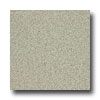Armstrong Armstrong Medintech Homogeneous Garden Sage Vinyl Flooring