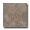 Armstrong Armstrong Classic Collection Grouted Ceramic Ii Smoke Vinyl Floo