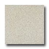 Armstrong Armstrong Medintech Homogeneous Natural Gray Vinyl Flooring