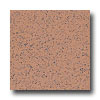 Armstrong Armstrong Excelon Stonetex Premium Neutral Peach Vinyl Flooring