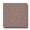 Armstrong Armstrong Medintech Homogeneous Smoketree Brown Vinyl Flooring