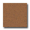Armstrong Armstrong Excelon Stonetex Premium Clay Red Vinyl Flooring