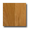 Tarkett Tarkett Escapade Maple Cognac Laminate Flooring