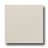 American Olean American Olean St Germain 12 X 24 Blanc Tile  &  Stone