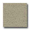 Armstrong Armstrong Excelon Stonetex Premium Forest Moss Vinyl Flooring