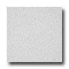 Armstrong Armstrong Possibilities Petit Point Almond White Vinyl Flooring