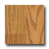 Tarkett Tarkett Escapade Red Oak Golden Laminate Flooring