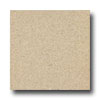 Armstrong Armstrong Connection Corlon Nougatine Vinyl Flooring