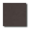 Crossville Crossville Cross-colors A 12 X 12 Polished Ebony Tile  &  Stone