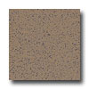 Armstrong Armstrong Excelon Stonetex Premium Cocoa Brown Vinyl Flooring