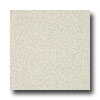 Armstrong Armstrong Possibilities Petit Point Colored Earth Vinyl Flooring