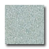 Armstrong Armstrong Excelon Imperial Texture Teal Vinyl Flooring