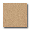 Armstrong Armstrong Medintech Tandem Inlaid Sandalwood Vinyl Flooring