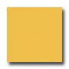 Interceramic Interceramic Colours 8 X 8 Yellow Mango Tile  &  Stone