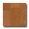 Quick-Step Quick-step 700 Series Steps (7mm) Enhanced Cherry Laminate Floor