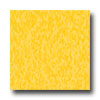 Armstrong Armstrong Excelon Standard Rave Lemon Lick Vinyl Flooring